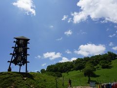 -关山草原