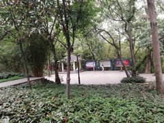 -南岗山公园