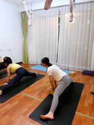 -Yvon yoga 瑜伽·精准体态管理中心