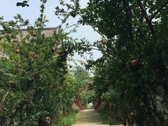 -杨家埠民间艺术大观园
