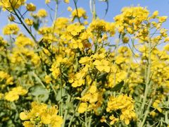 -兴芮温泉度假区