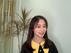 -YESIDO椰岛造型