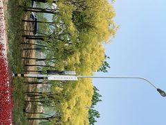 -天津盘山风景名胜区