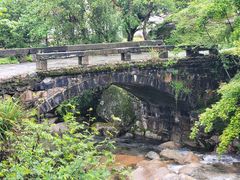 -石台牯牛降景区