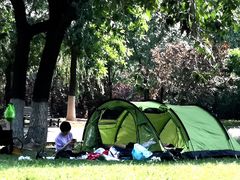 -永定河休闲森林公园