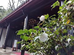 -白鹿洞书院