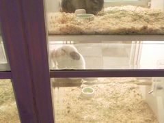 龙猫-龙猫仔乐园(惠福东路店)