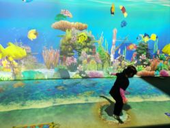 -超级奈尔宝SUPER NEOBIO(杭州星光店)