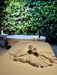 -VELEE·SPA高定疗愈会所