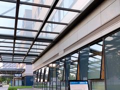 -首都医科大学附属北京天坛医院