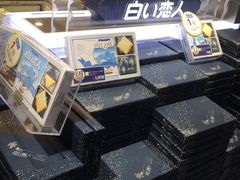 -关西国际机场直营免税店