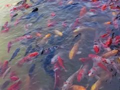 -泰安地下龙宫景区