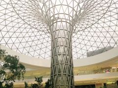 -西西弗书店&矢量咖啡(凯德晶萃广场店)