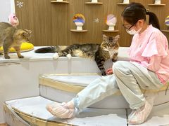-COLOR PETS 撸猫馆·购猫·猫咖(长风大悦城店)