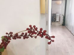 -杨丹国际美学肌研所