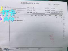 -北京观赏动物医院·24小时大型综合·猫专科·异宠专科