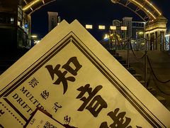 -武汉知音号