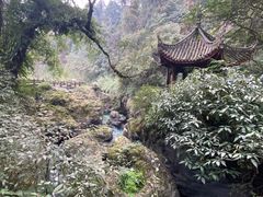 -峨眉山风景名胜区