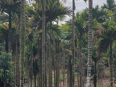 -七仙岭温泉国家森林公园