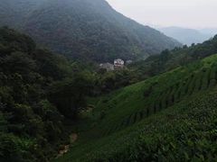-午潮山国家森林公园