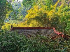 -峨眉山风景名胜区