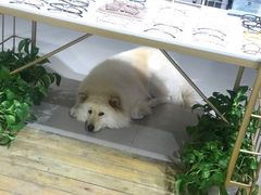 -肆兮眼镜·蔡司·徕卡战略合作店(大坪店)