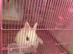 -鹏欣水游城