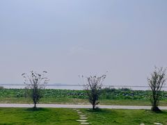 -七的湖·晚芳亭·阳澄湖农家菜·大闸蟹(莲花岛店)