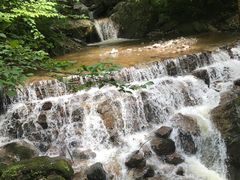 -青峰峡国家森林公园