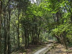 -西湖风景区十里琅珰-五云山
