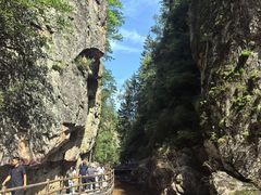 -茅兰沟国家森林公园