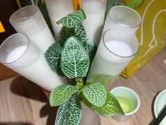 -探窝·竹笙椰子鸡(杨箕店)