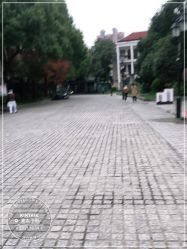 -金太子形象设计