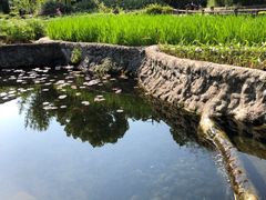 -成都市活水公园