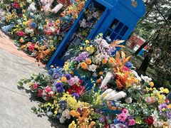 -青岛方特梦幻王国