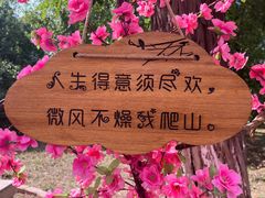 -北京凤凰岭