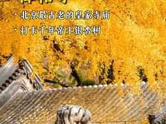 -北京石刻艺术博物馆