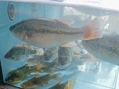 -上菜呷饭(花溪店)