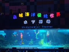 -泉城欧乐堡海洋极地世界