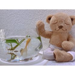 -水沐莲清瑜伽·普拉提