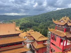 -东莞市大岭山森林公园