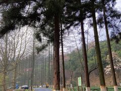 -莫干山风景区