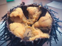 -海胆小馆(东北水饺·春柳店)