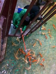 -酷嗒动物文化乐园(cutezoo西溪乐天城店)