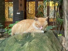 -竹吟山房