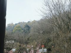 -敬亭山风景名胜区