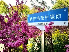 -南汇桃花村