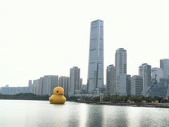 -深圳人才公园