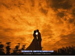 -金夫人婚纱摄影(华南店)