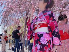 -京都冈本和服体验租赁店(祗园店)